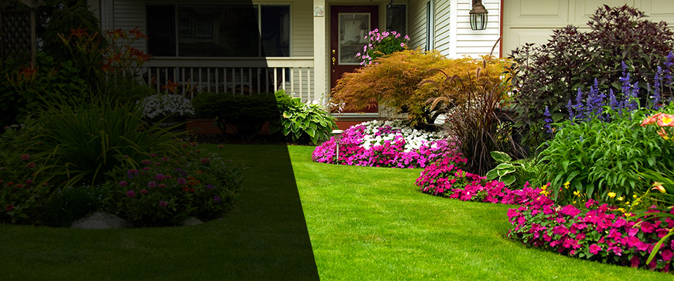 Virginia Landscapers